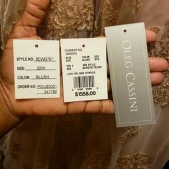 A David's Bridal Exclusive Wedding Dress A-Line Oleg Cassini - Picture 7 of 7